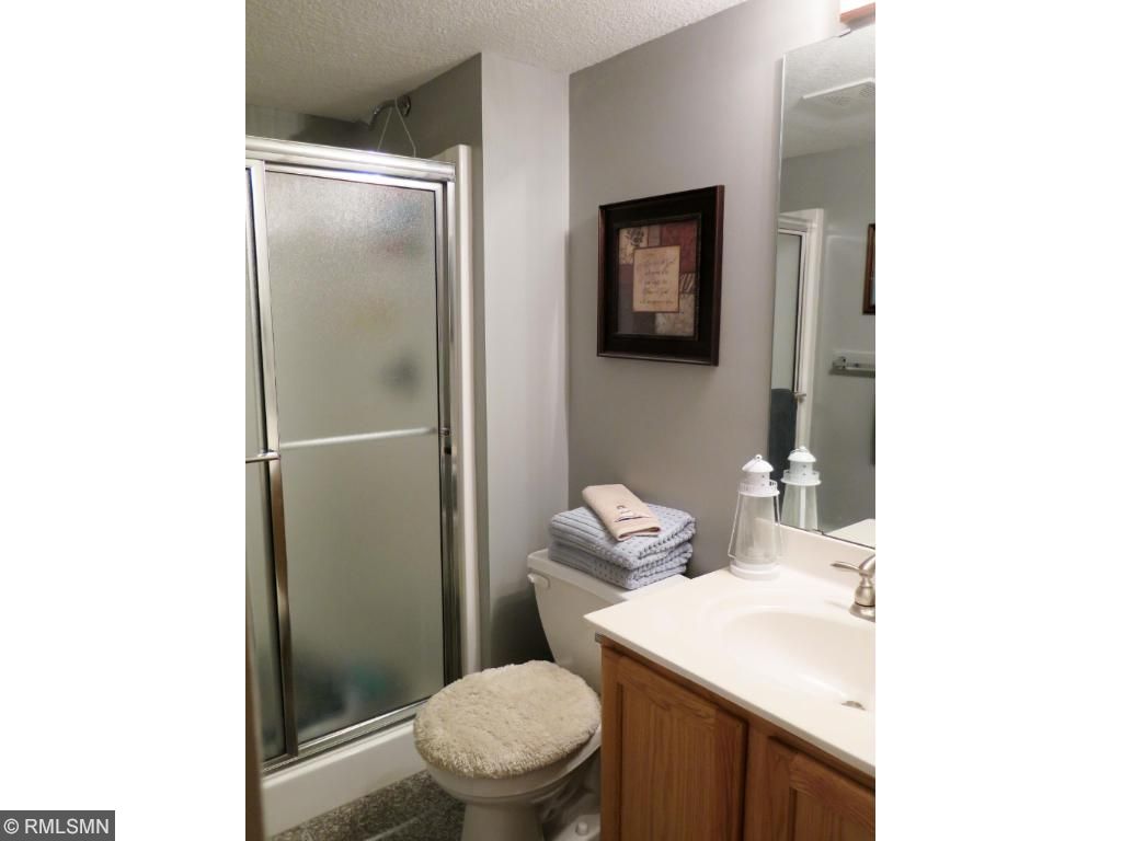 15743 Cicerone Path, Rosemount, MN 55068 photo 13