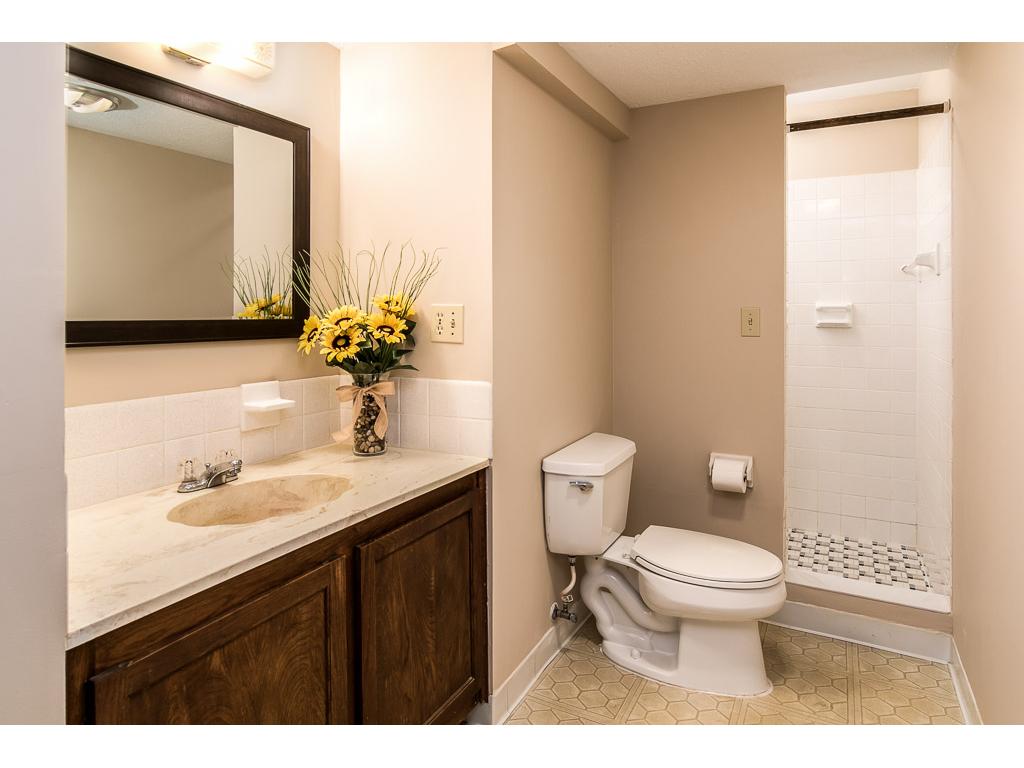 3908 Palisade Way, Eagan, MN 55122 photo 18