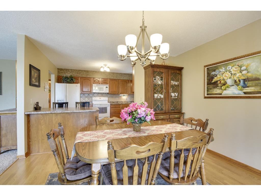 8203 109th Pl N, Champlin, MN 55316 photo 6