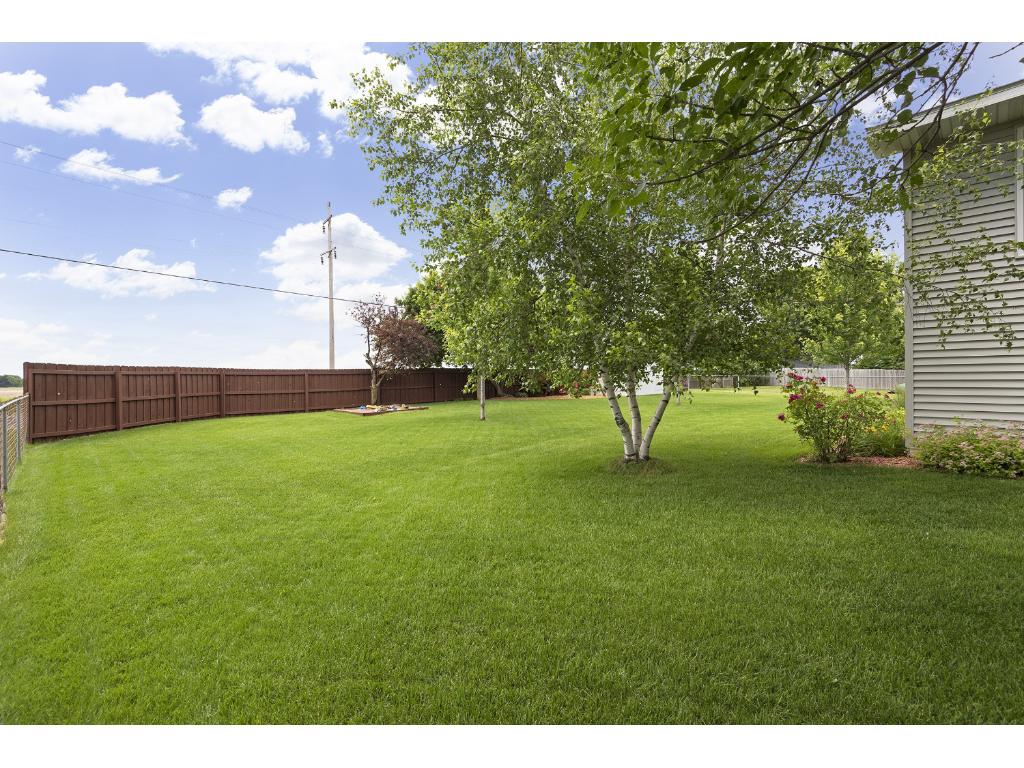 8203 109th Pl N, Champlin, MN 55316 photo 20