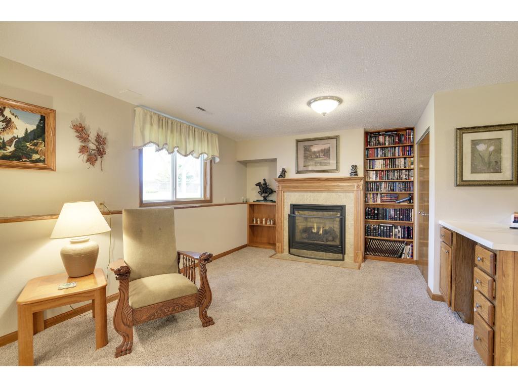 8203 109th Pl N, Champlin, MN 55316 photo 9