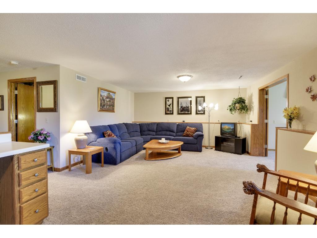 8203 109th Pl N, Champlin, MN 55316 photo 7