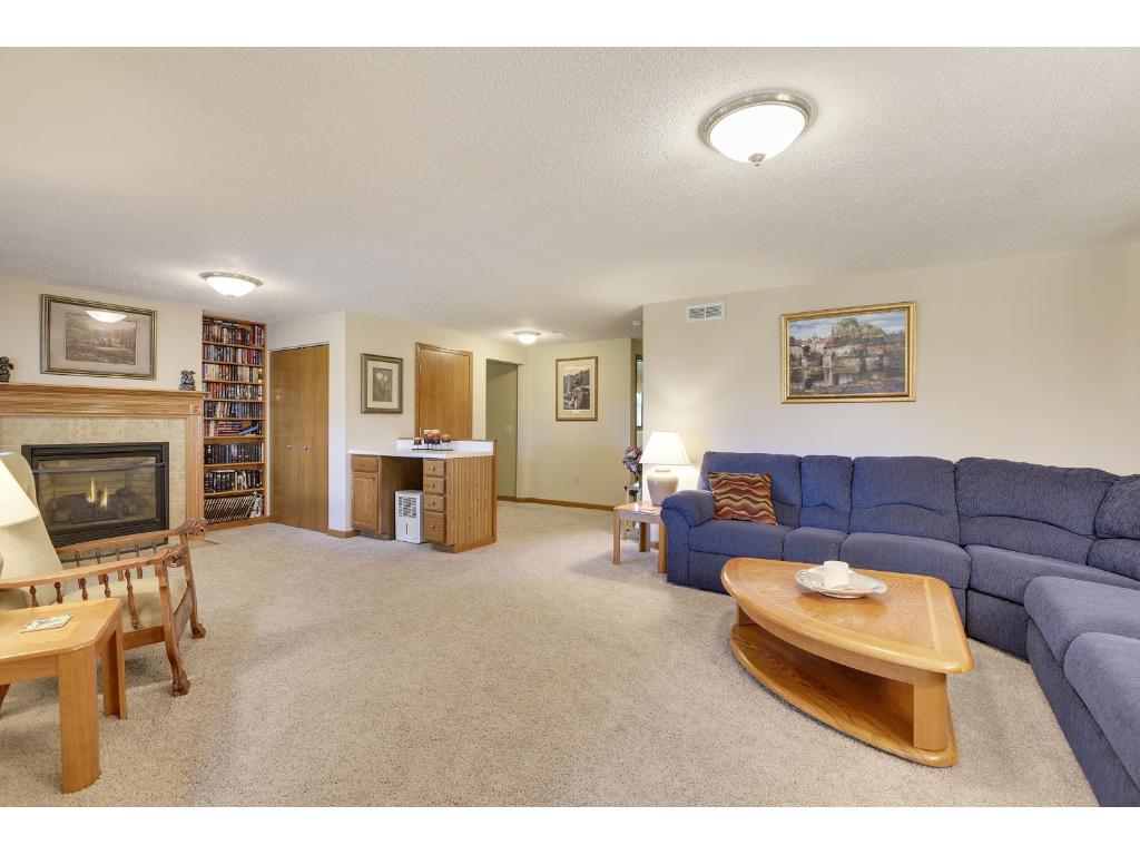 8203 109th Pl N, Champlin, MN 55316 photo 8