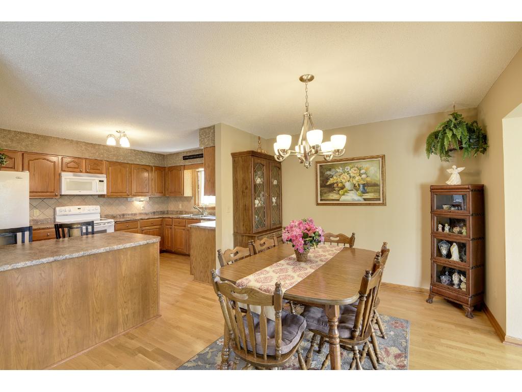 8203 109th Pl N, Champlin, MN 55316 photo 5