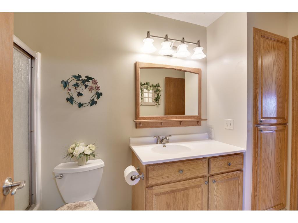 8203 109th Pl N, Champlin, MN 55316 photo 13