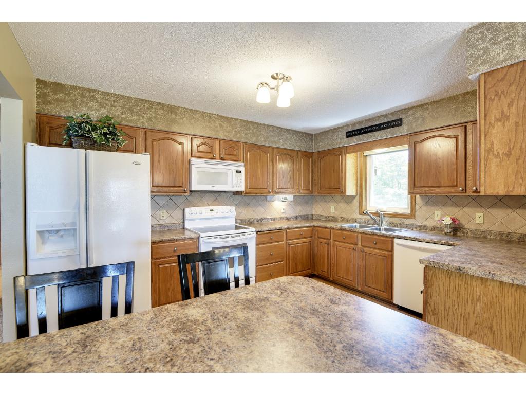 8203 109th Pl N, Champlin, MN 55316 photo 4