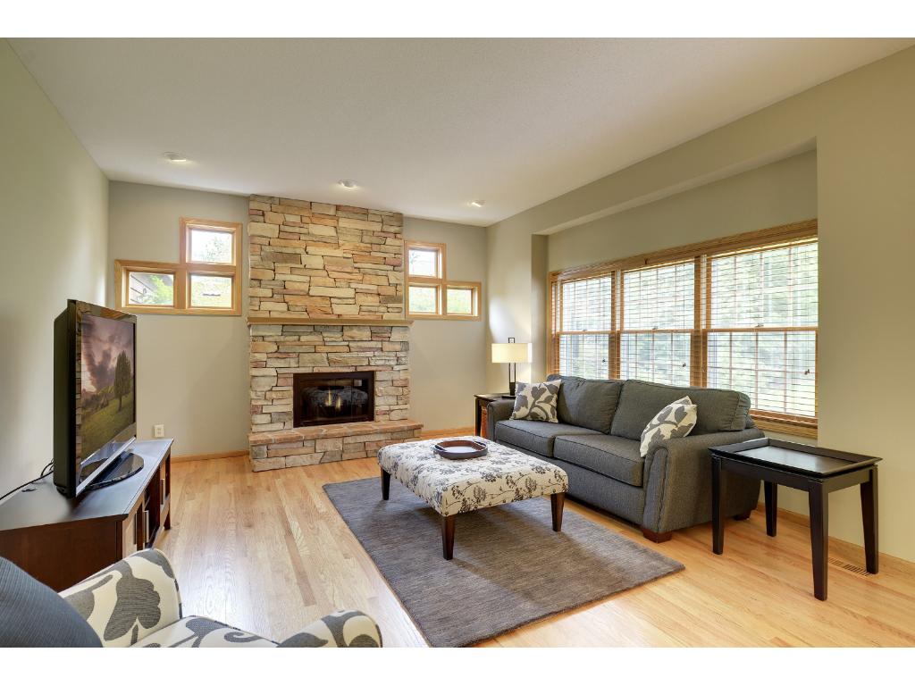 1587 Skyline Path, Eagan, MN 55121 photo 10
