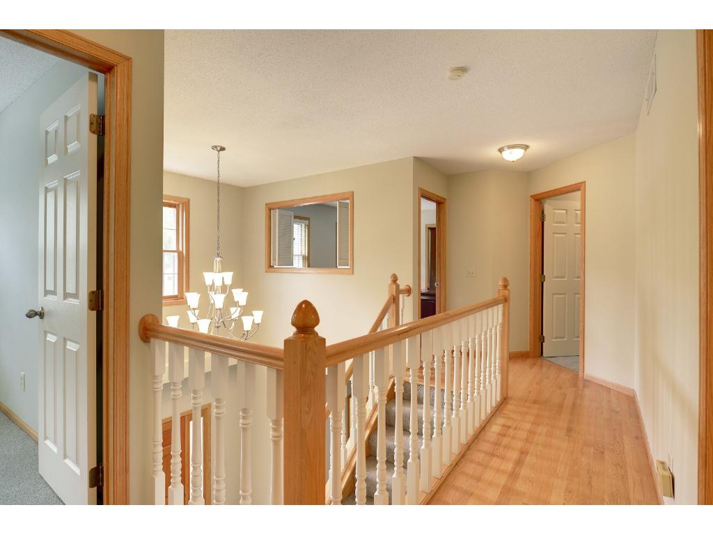 1587 Skyline Path, Eagan, MN 55121 photo 13