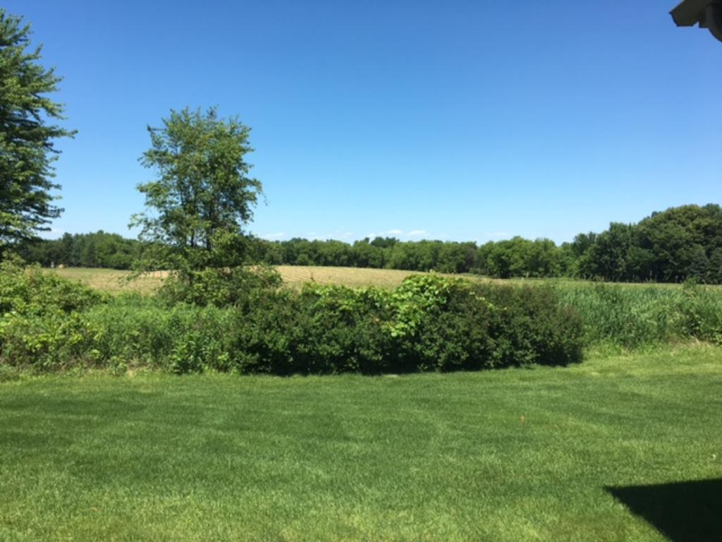 11016 Preserve Cir N, Champlin, MN 55316 photo 14