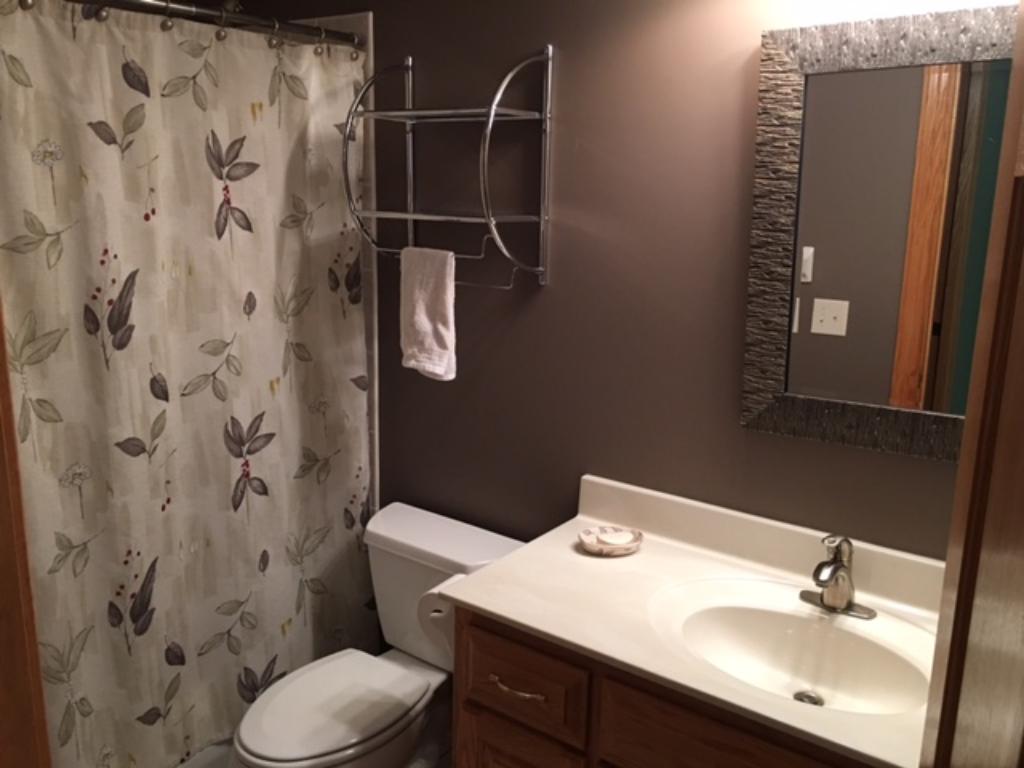 11016 Preserve Cir N, Champlin, MN 55316 photo 10