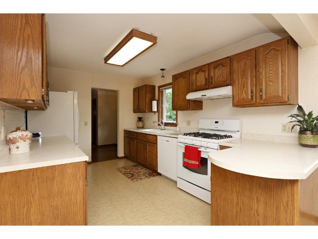 1050 Beatrice St, Eagan, MN 55121 photo 3