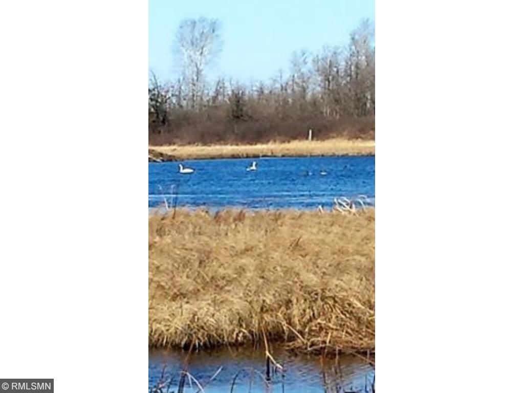 1795 County 41 NW, Backus, MN 56435 photo 18
