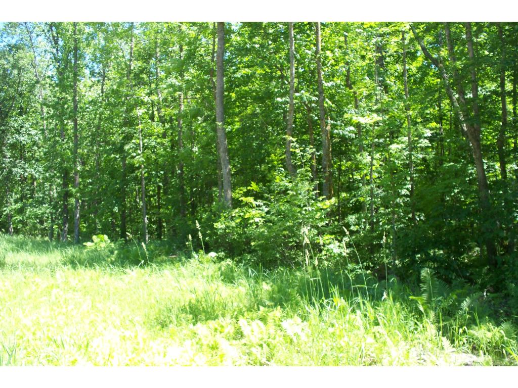 4145 Ogema Point Dr NW, Hackensack, MN 56452 photo 11
