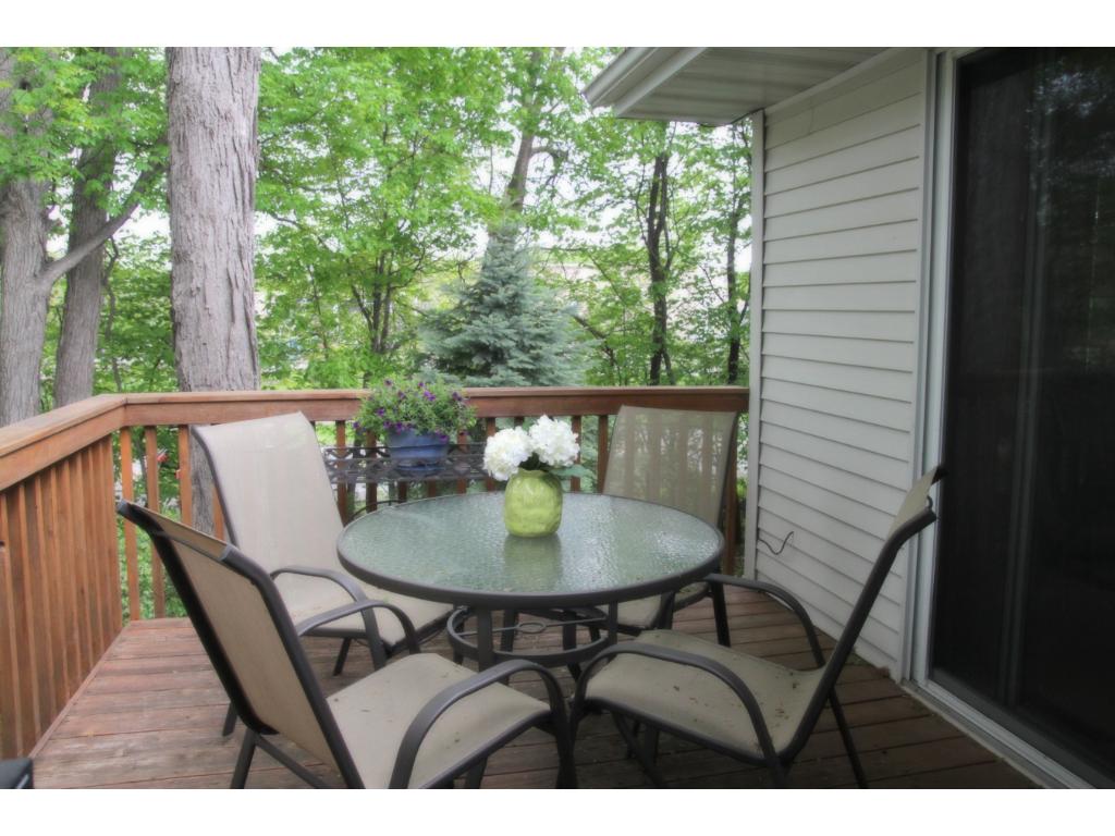 5485 Gideons Ln, Excelsior, MN 55331 photo 6