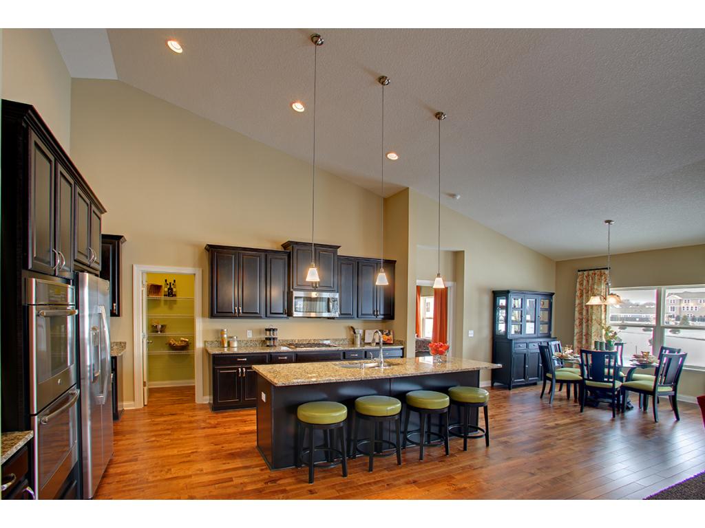 4613 Black Wolf Run, Eagan, MN 55123 photo 3