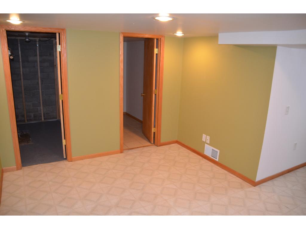 1010 Carlton Ave, Faribault, MN 55021 photo 14