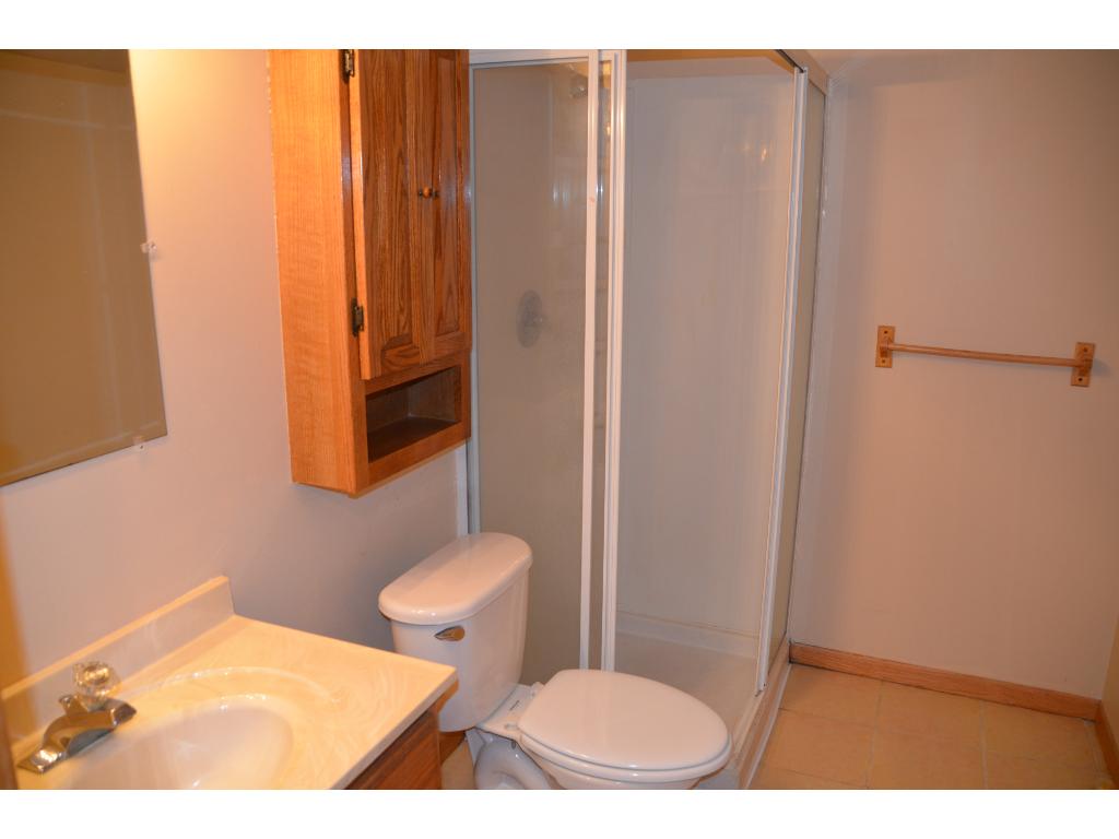 1010 Carlton Ave, Faribault, MN 55021 photo 15