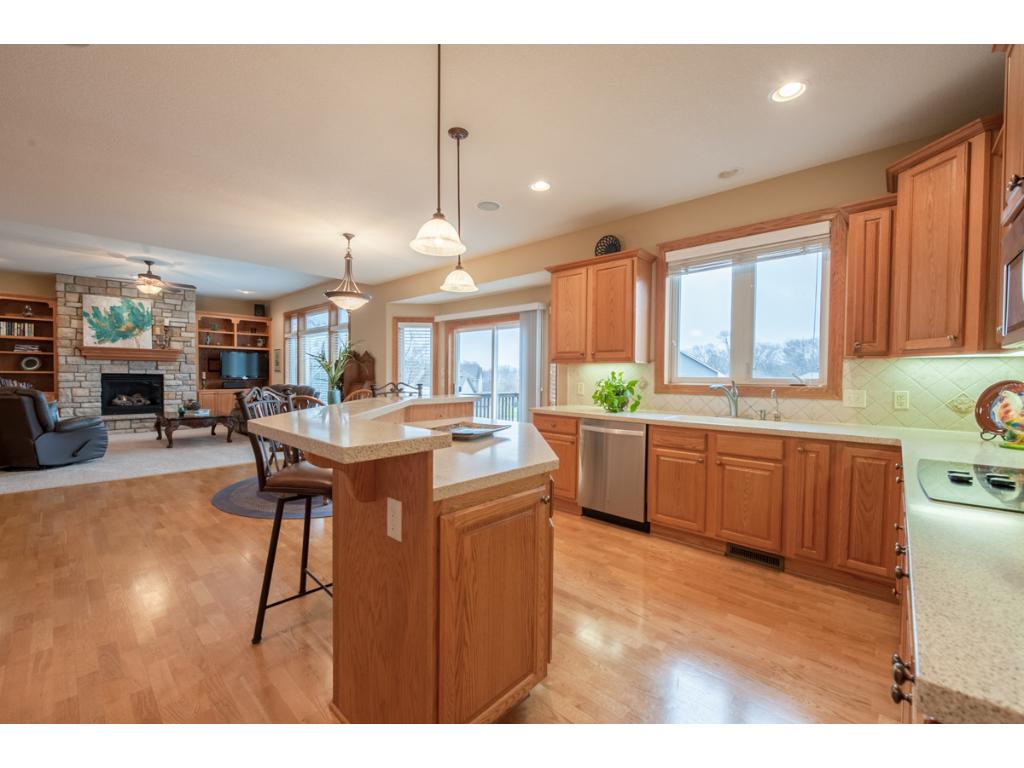 4824 Redpoll Ct, Eagan, MN 55123 photo 9