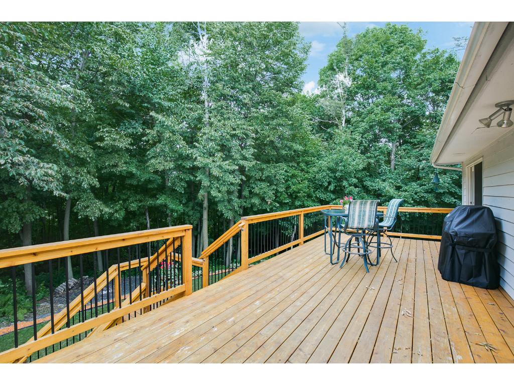 6525 Belle St, Loretto, MN 55357 photo 20