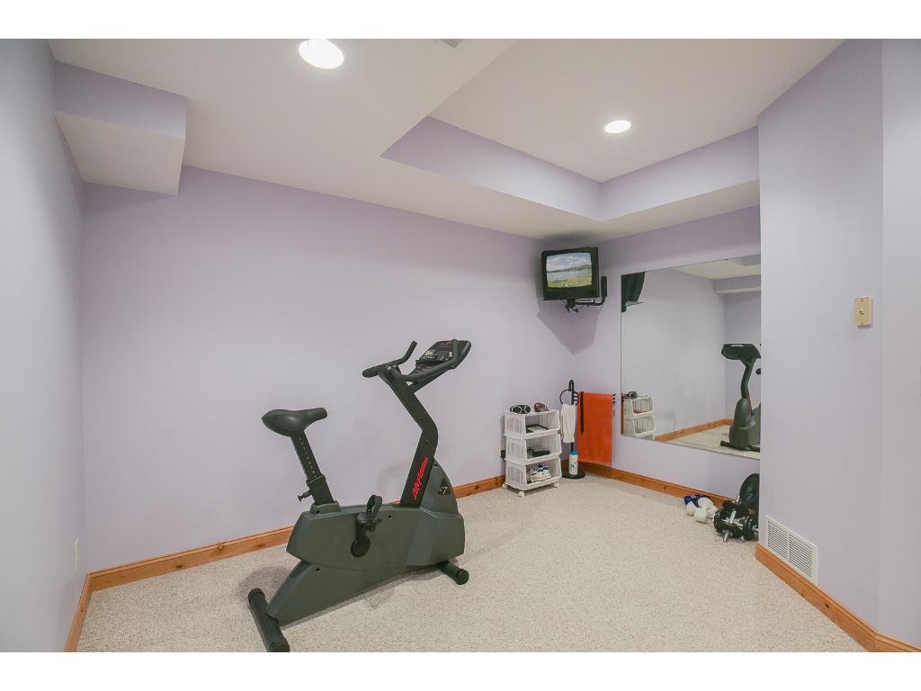 6525 Belle St, Loretto, MN 55357 photo 17