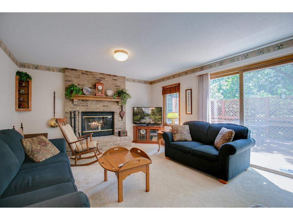 9622 Lakeside Trl, Champlin, MN 55316 photo 18