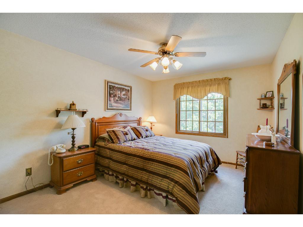 9622 Lakeside Trl, Champlin, MN 55316 photo 15