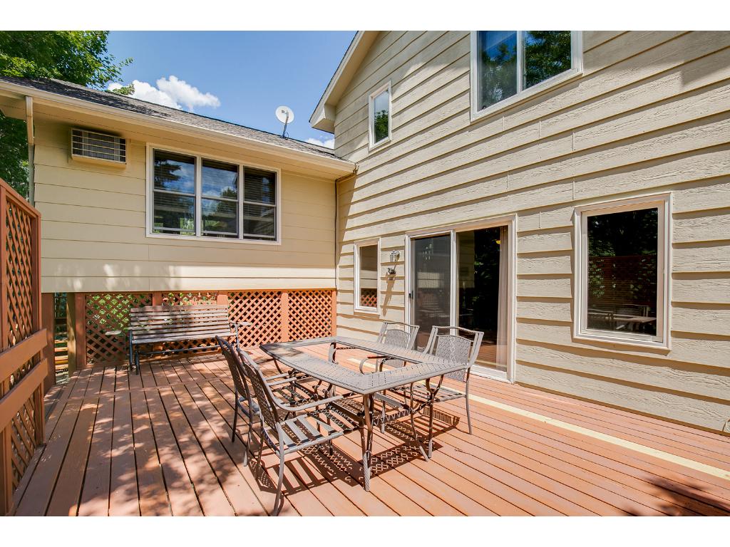 9622 Lakeside Trl, Champlin, MN 55316 photo 20