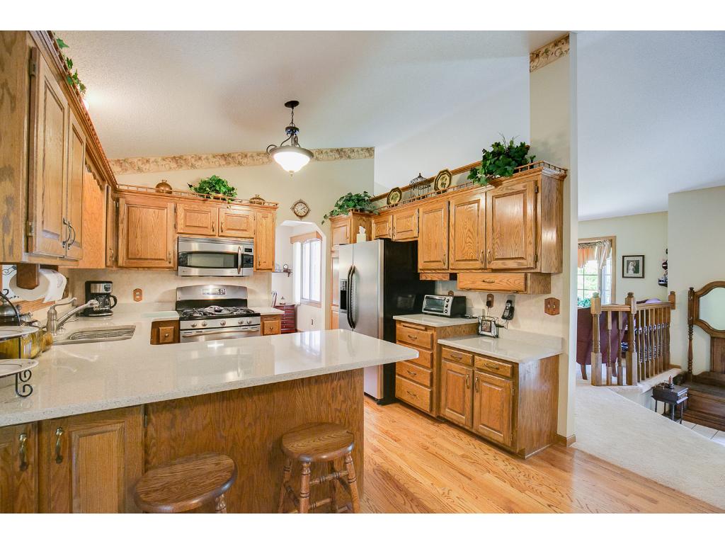 9622 Lakeside Trl, Champlin, MN 55316 photo 8