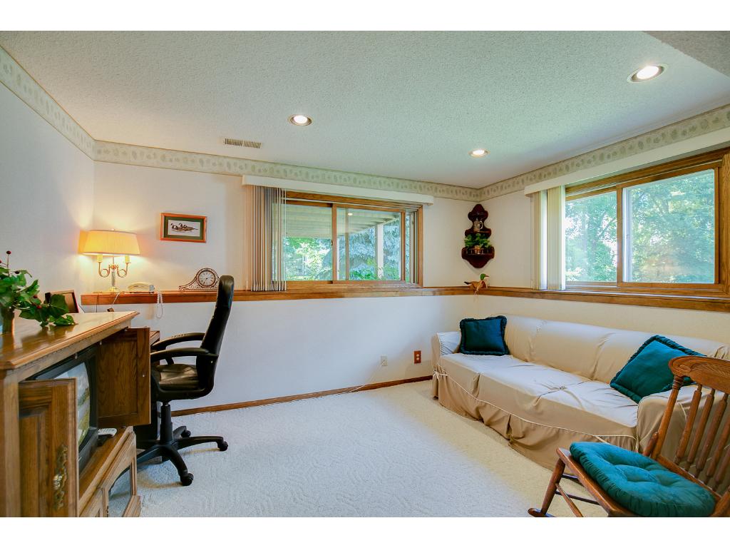 9622 Lakeside Trl, Champlin, MN 55316 photo 19