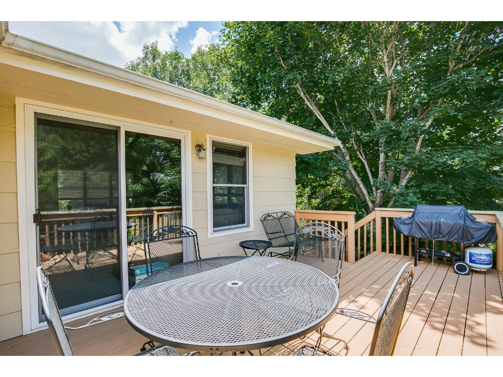 9622 Lakeside Trl, Champlin, MN 55316 photo 23