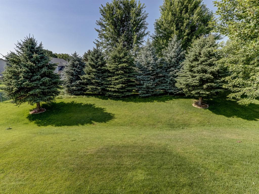 13184 Drumcliffe Path, Rosemount, MN 55068 photo 21