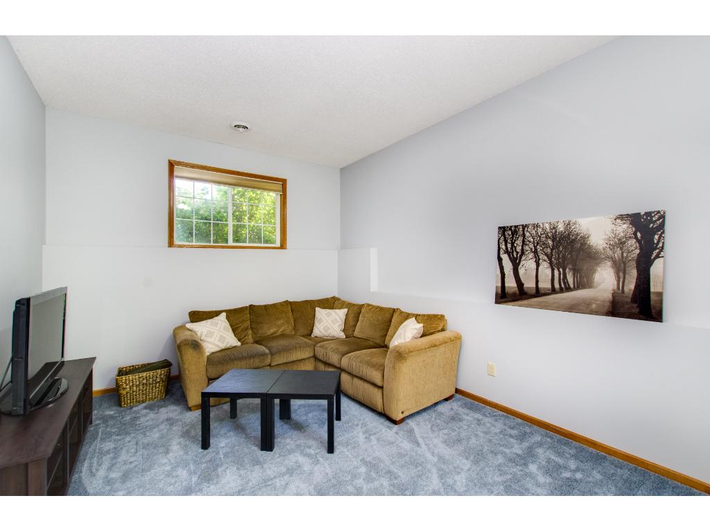 801 Sunset St, Buffalo, MN 55313 photo 23