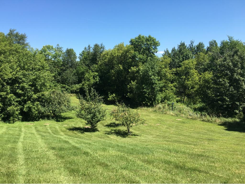 13482 270th St, Saint Cloud, MN 56301 photo 5