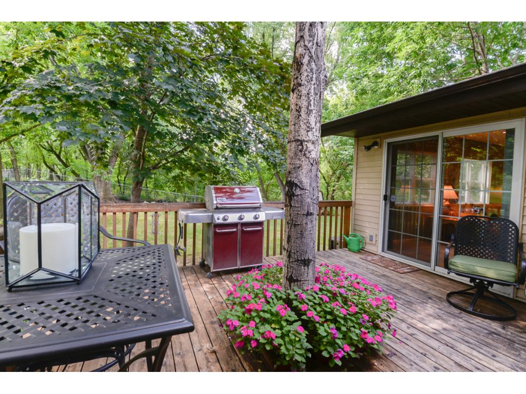 1352 Balsam St E, Eagan, MN 55123 photo 22