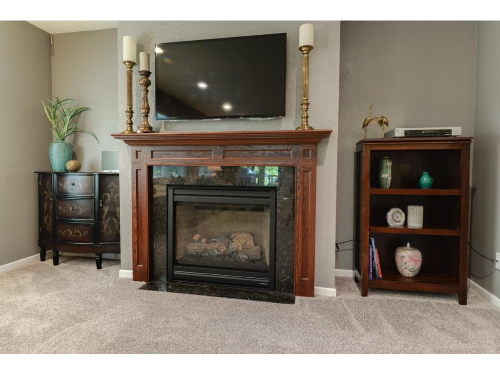 1352 Balsam St E, Eagan, MN 55123 photo 2