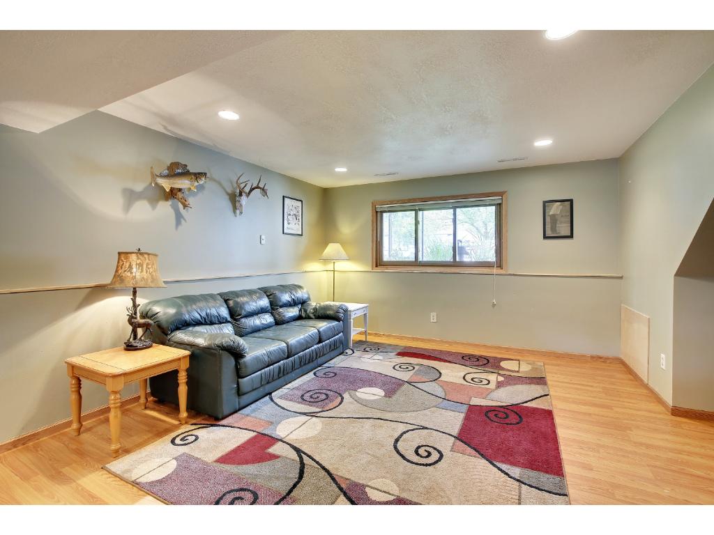 15643 Darling Path, Rosemount, MN 55068 photo 11