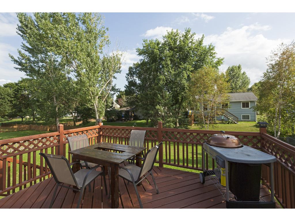 15643 Darling Path, Rosemount, MN 55068 photo 18