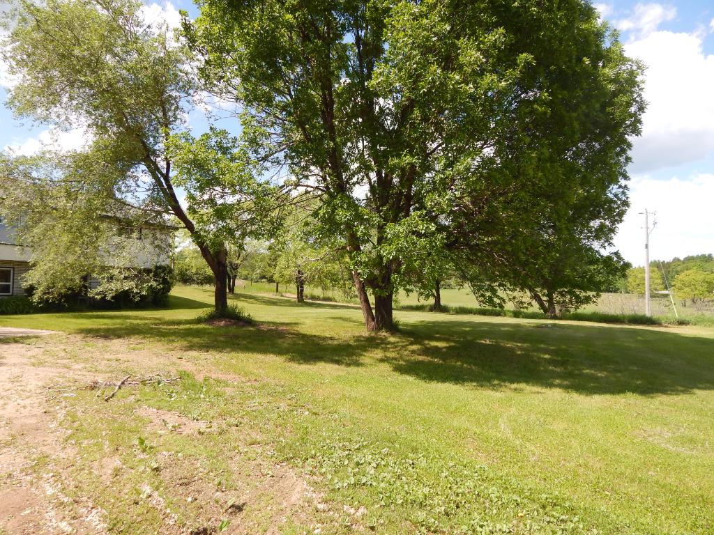 17329 County Road 3, Brainerd, MN 56401 photo 6