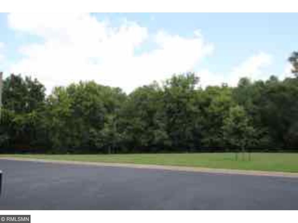 4041 Meadowlark Curv, Eagan, MN 55122 photo 2