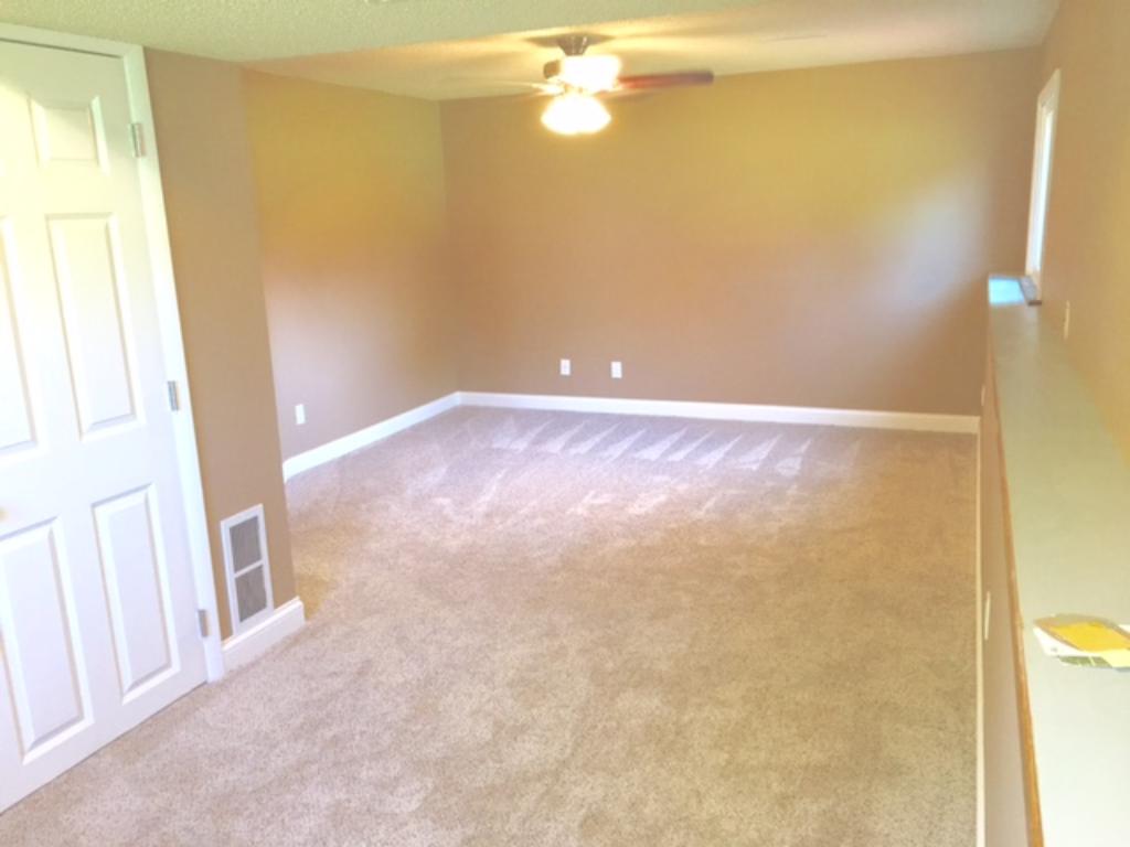 11511 Jersey Ave N, Champlin, MN 55316 photo 13