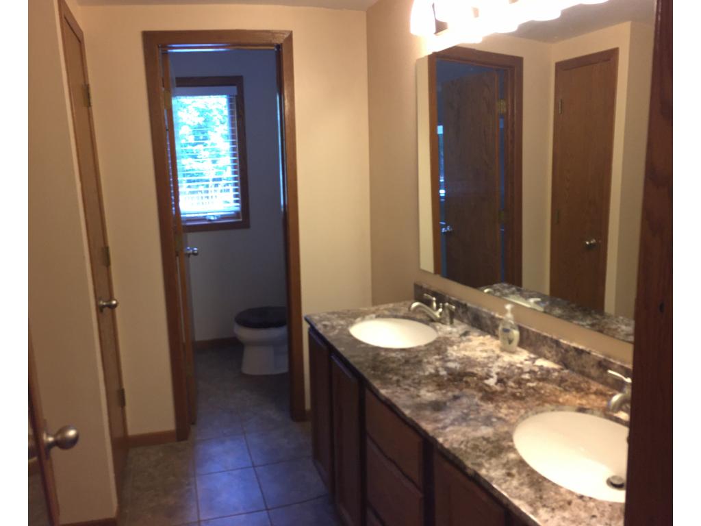 4462 Whitetail Way, Eagan, MN 55123 photo 12