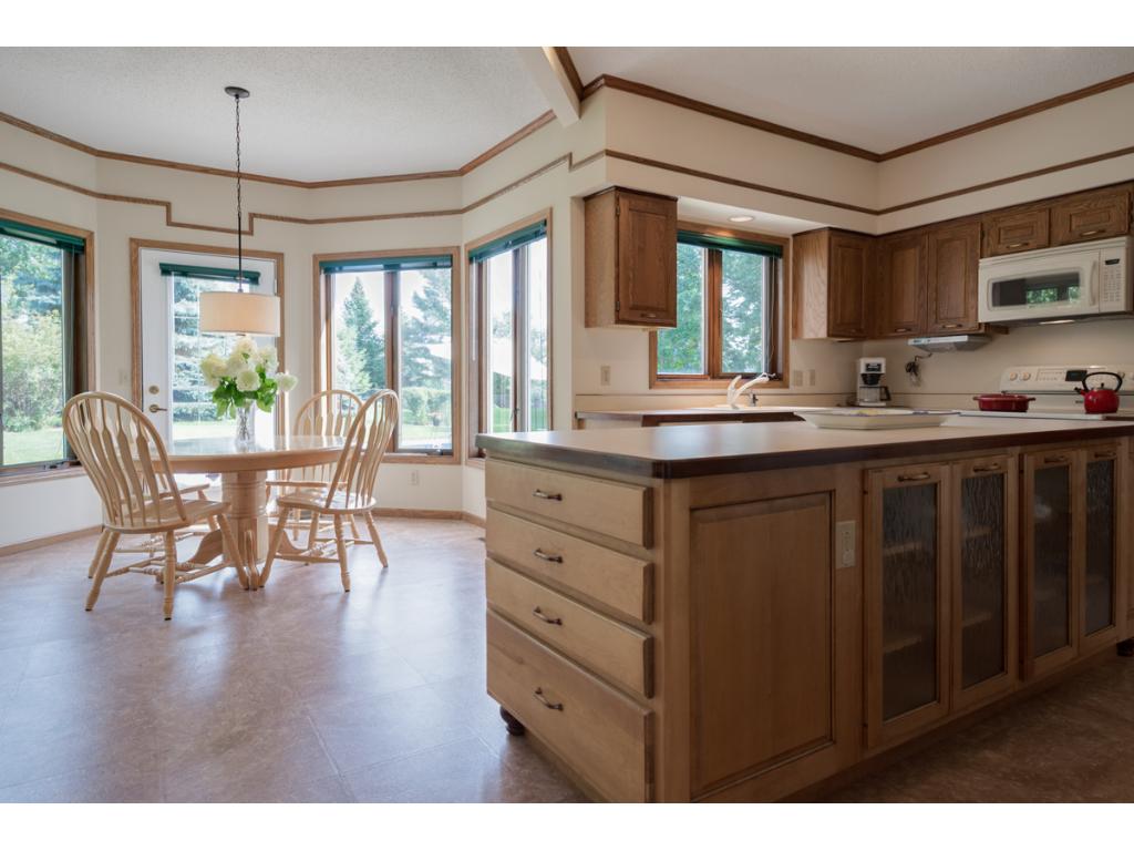 13832 Currant Cir, Rosemount, MN 55068 photo 13