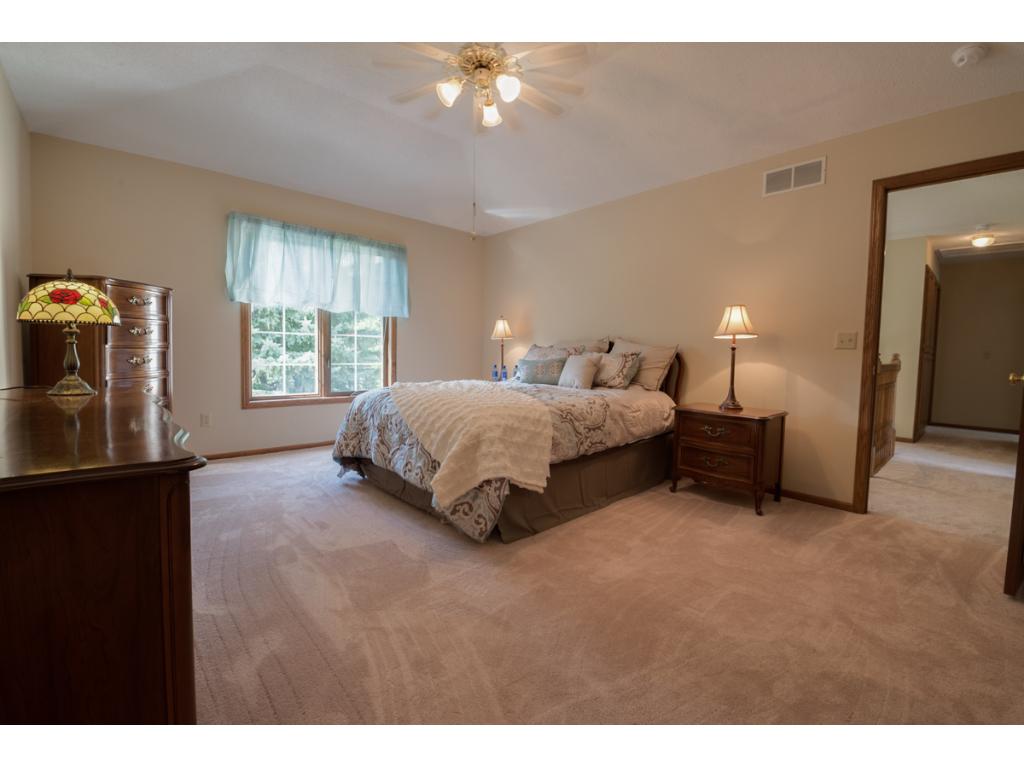 13832 Currant Cir, Rosemount, MN 55068 photo 18