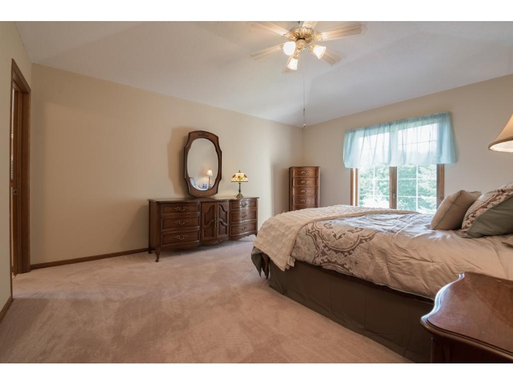 13832 Currant Cir, Rosemount, MN 55068 photo 19