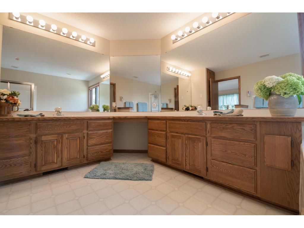 13832 Currant Cir, Rosemount, MN 55068 photo 21