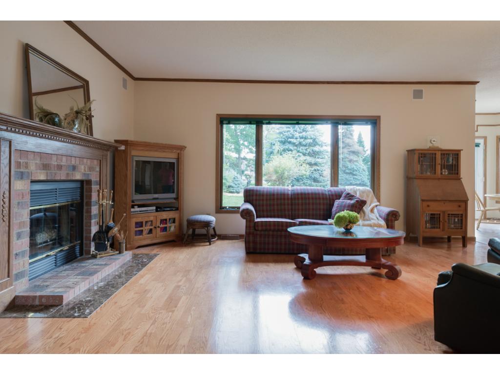 13832 Currant Cir, Rosemount, MN 55068 photo 11