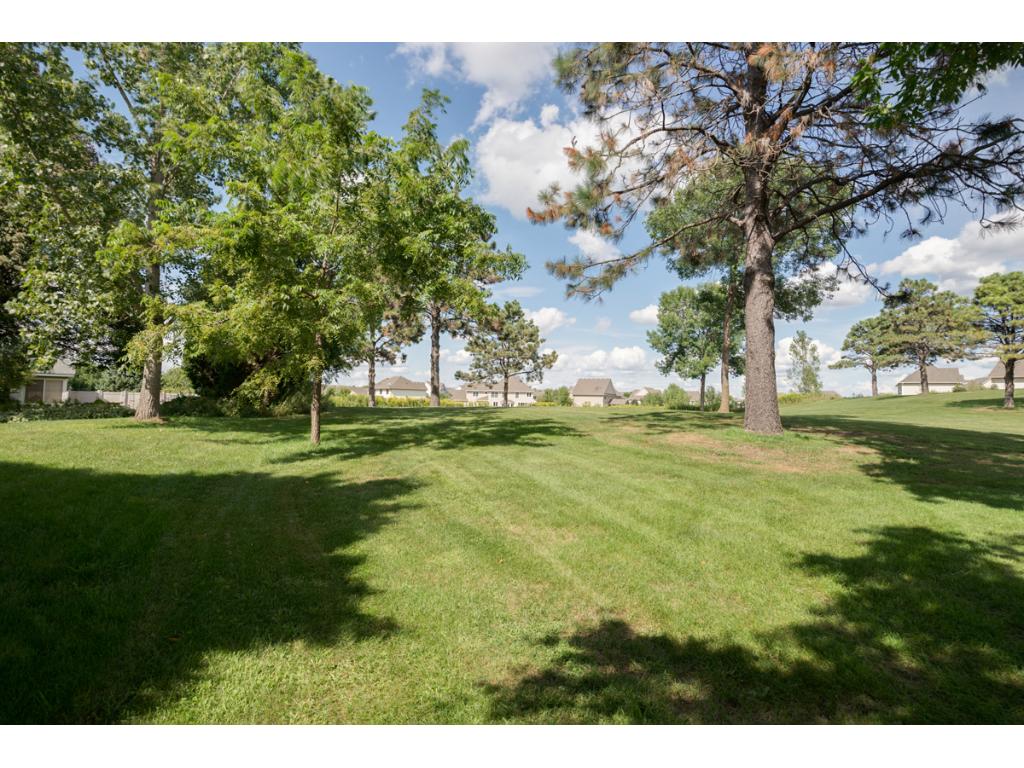 13832 Currant Cir, Rosemount, MN 55068 photo 5