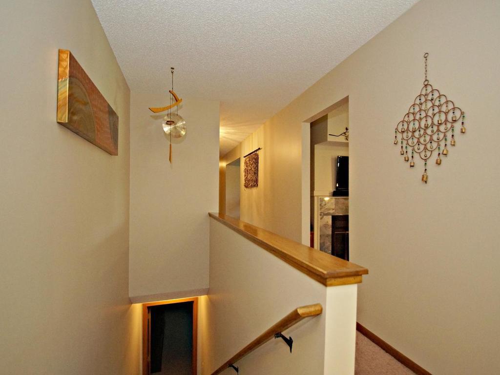 3934 Denmark Ave, Eagan, MN 55123 photo 18