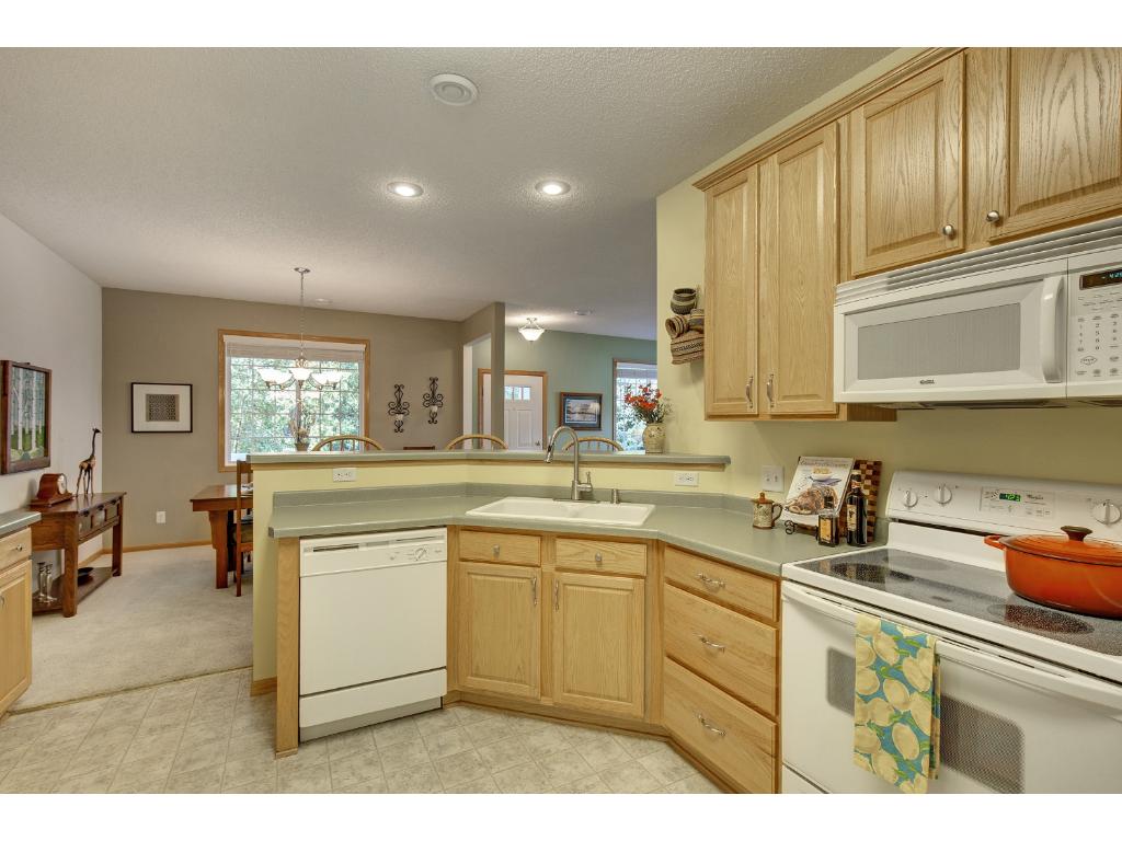 14235 Avalon Path, Rosemount, MN 55068 photo 11