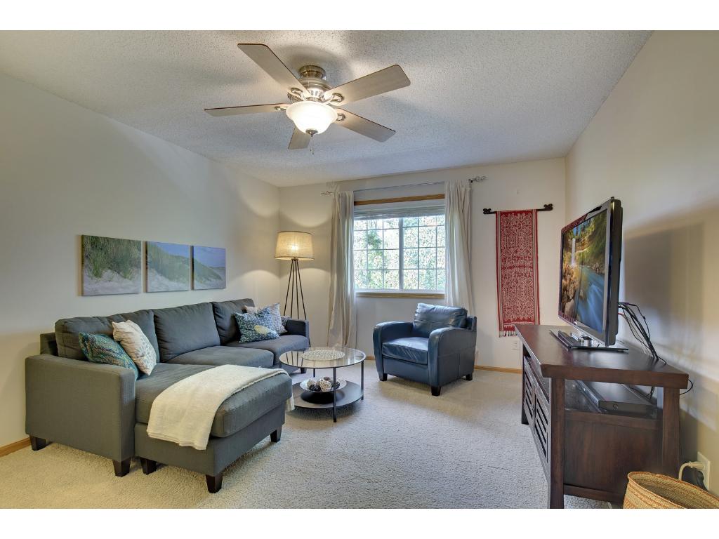 14235 Avalon Path, Rosemount, MN 55068 photo 18